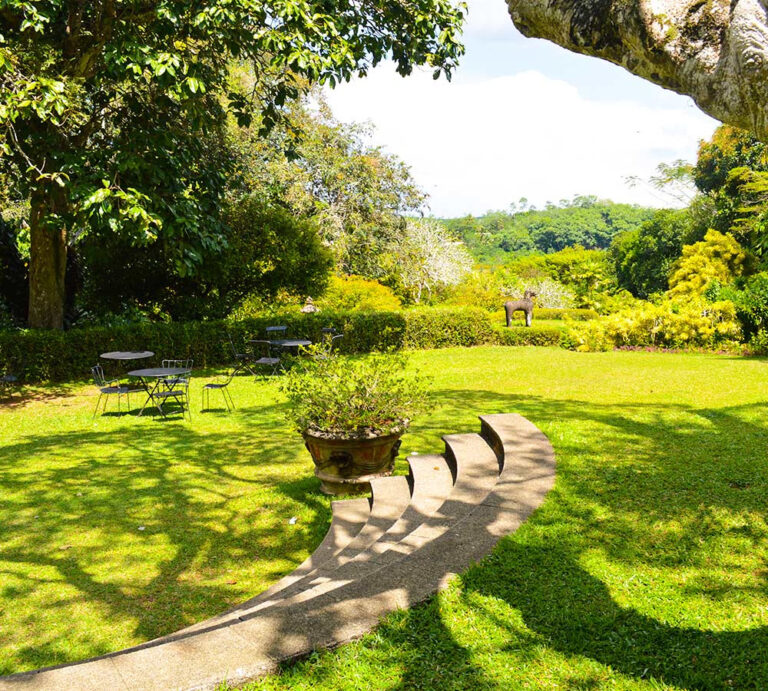 Bevis Bawas brief gardens